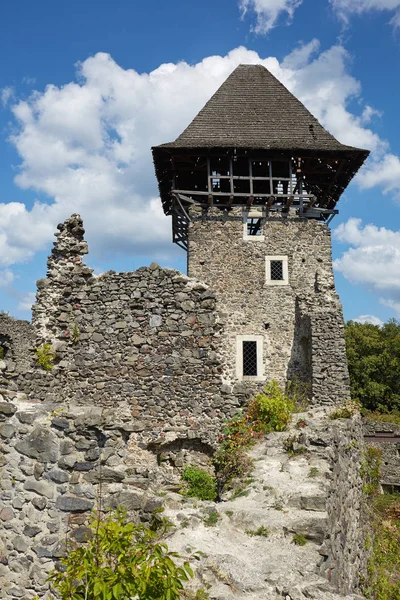 Руїни Ужгородський Невицький замок. — стокове фото