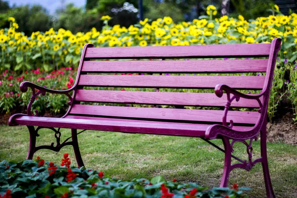 Židle v Květné zahradě — Stock fotografie