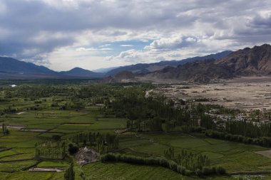 Çöl Plains sorununun Ladakh tarım