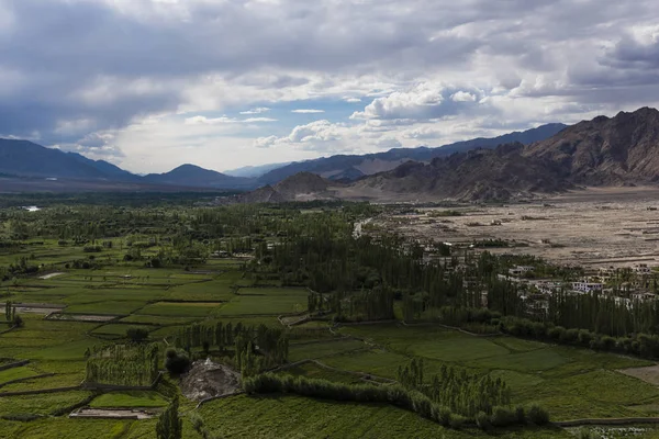 Çöl Plains sorununun Ladakh tarım