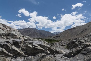 Ladakh landscape ; barren, desert terrain of Ladakh clipart