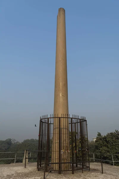 Ashoka ayağı Feroz Şah Kotla olarak