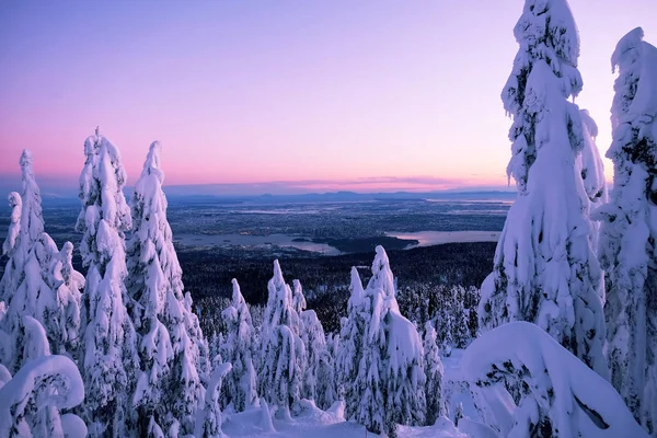 Snow on trees at sunset and city views. — Stock Photo, Image