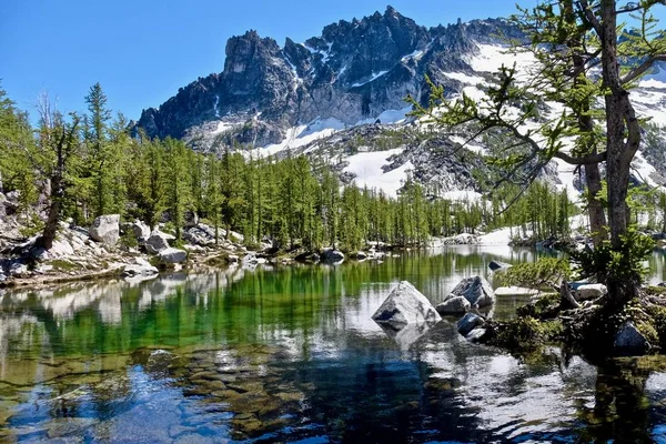 Zonovergoten alpine bos, duidelijk meer en de granieten bergen. — Stockfoto