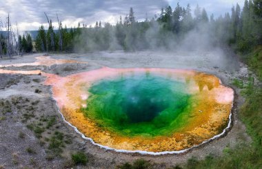 Yellowstone Milli Parkı.