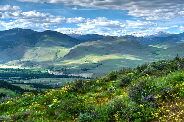 Rolling hills from Patterson Mountain. — Stock Photo, Image