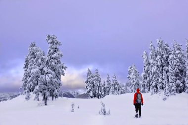 Kış Karayak dağlarda hiking.