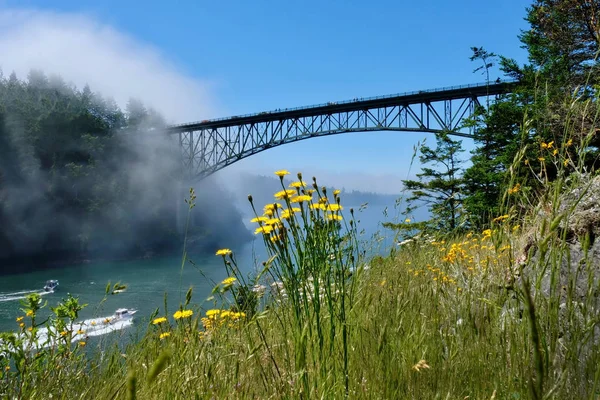 Pemandangan indah Jembatan Deception Pass di musim panas dengan kabut dan bunga liar di tebing . — Stok Foto