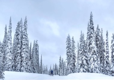 Karlı bir günde Kelowna adlı büyük beyaz Ski Resort yakınındaki Nordic Kayak. 