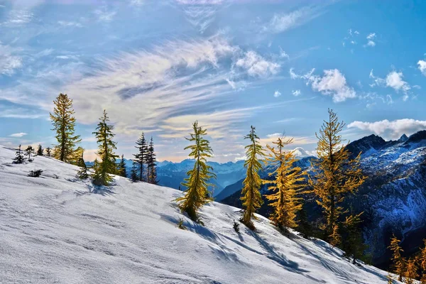 Paesaggio canadese con neve, montagne e alberi gialli. Comprensorio sciistico in inverno. Seattle. WA. Stati Uniti . — Foto Stock