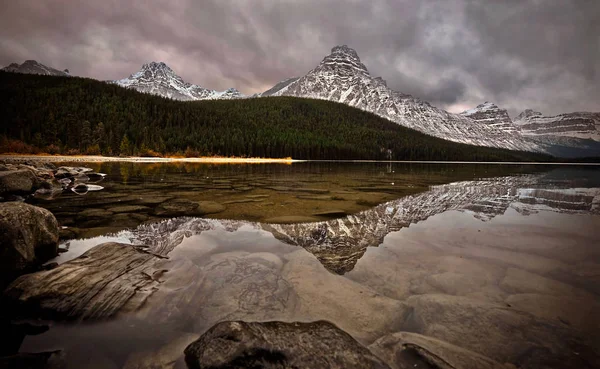 Mount Chephren és vízimadarak tó ősszel. — Stock Fotó