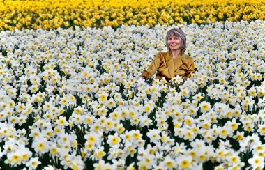 Woman in daffodil fields smiling clipart