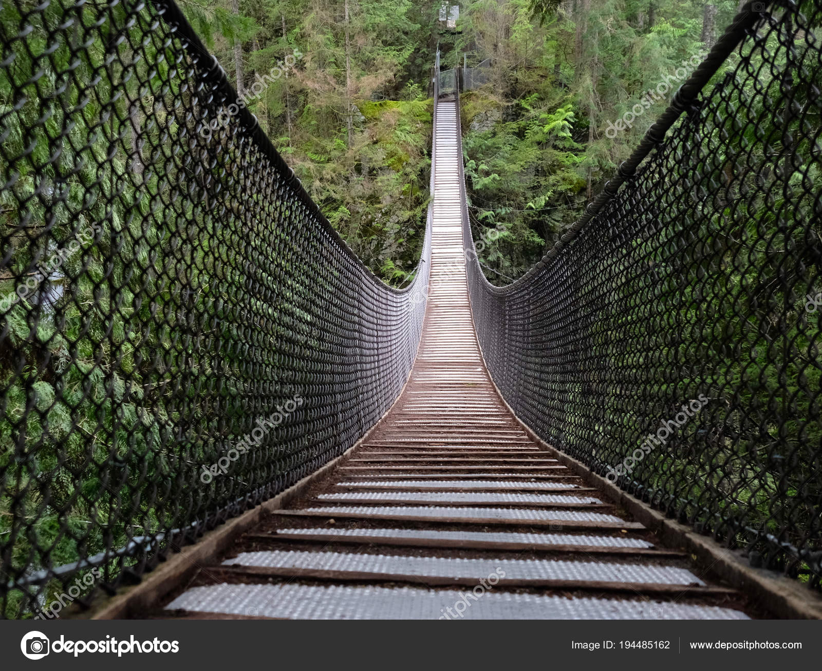 Lynn Canyon Suspension Bridge In Lynn Valley Provincial Park