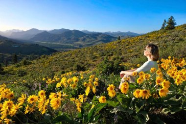 Vacation travel in Washington State. Woman sitting among Arnica or Balsamroot sunflowers on hill with beautiful views. Patterson Mountain. North Cascades National Park. Winthrop. United States of America. clipart