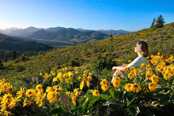 华盛顿州的度假旅行 妇女坐在山金车花或 Balsamroot 向日葵在山上与美丽的景色 帕特森山 北瀑布国家公园 温思罗普 美利坚合众国 — 图库照片
