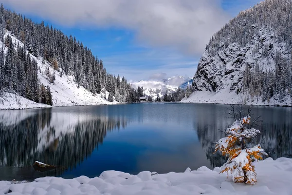 在一个阳光明媚的冬日里 高山上的新雪和高山湖畔的树木 湖岸上覆盖着覆盖着白雪的金松 班夫国家公园艾格尼斯湖上的茶馆 路易湖地区 艾伯塔省 加拿大 — 图库照片