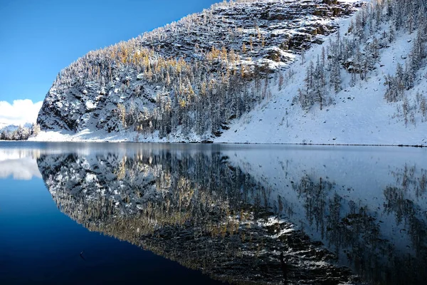 Reflejo Perfecto Montaña Big Beehive Con Alerces Amarillos Nieve Fresca — Foto de Stock