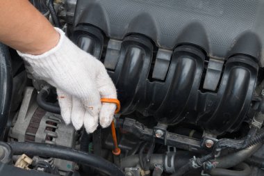 Teknisyen Araba, petrol sopa motor yağ düzeyini denetleme