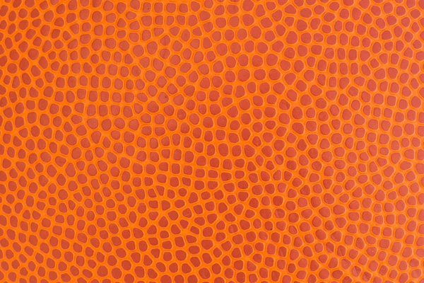 Makro basketbol doku