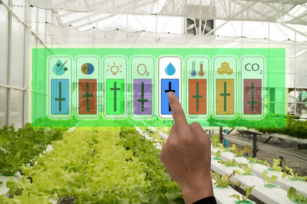 Internet of things industrial agriculture and smart farming concept,farmer point hand to use augmeted reality application to control monitor and controlling conditon of vegetable in the greenhouse — Stock Photo, Image