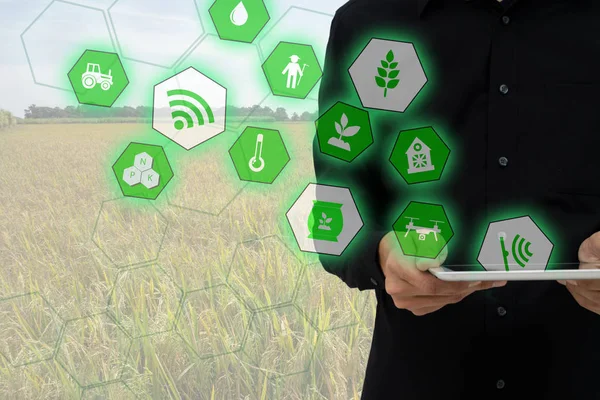 Şeylerin (Tarım kavramı), Internet akıllı tarım, sanayi tarım. Çiftçi tablet tutun ve augmented gerçeklik teknolojisi denetimi, monitör ve yönetim alanında kullanmak için