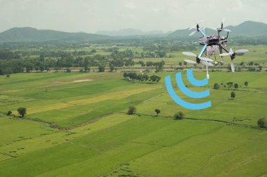 Internet şeyler (Tarım kavramı). Simge akıllı tarım, adam tutun tablet akıllı çiftlik kavramı ile şeker kamışı alan arka plan üzerinde