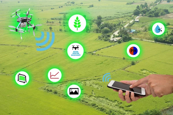 Internet of things(agriculture concept).Icon of smart farming,the man hold the tablet with smart farm concept on sugarcane field background — Stock Photo, Image