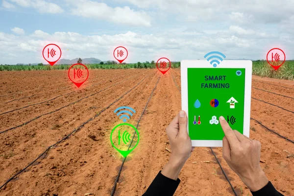 Internet of things agriculture concept,smart farming,industrial agriculture,farmer use technology to control,monitor,management in the filed — Stock Photo, Image