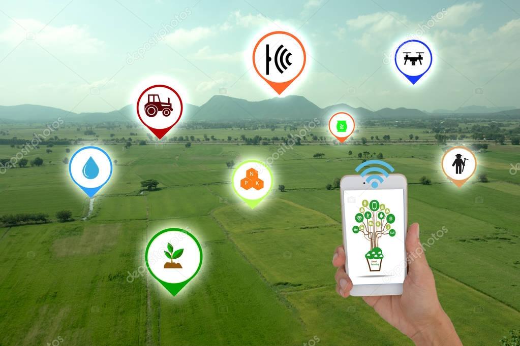 Internet of things(agriculture concept).Icon of smart farming,the man hold the tablet with smart farm concept on sugarcane field background