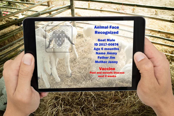 internet of things agriculture concepts,farmer use face recognit
