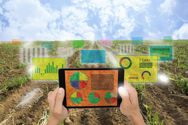 Internet of things(agriculture concept),smart farming,industrial