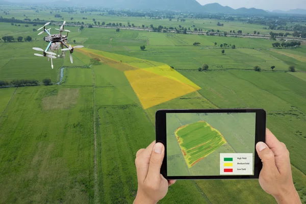 Drone per l'agricoltura, l'uso dei droni per vari campi come l'analisi della ricerca, la sicurezza, il salvataggio, la tecnologia di scansione del terreno, il monitoraggio dell'idratazione del suolo, il problema di resa e l'invio di dati all'agricoltore intelligente su tablet — Foto Stock