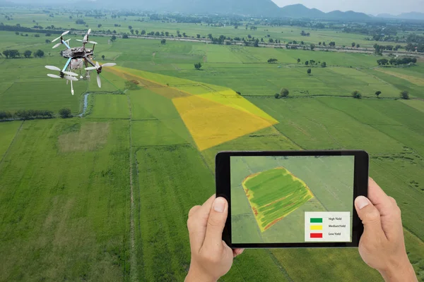 Drone para agricultura, uso de drone para vários campos, como análise de pesquisa, segurança, resgate, tecnologia de varredura de terreno, monitoramento da hidratação do solo, problema de rendimento e enviar dados para o agricultor inteligente em tablet — Fotografia de Stock