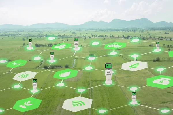 Iot, internet de las cosas, concepto de agricultura, Robótica inteligente (inteligencia artificial / ai) uso para la gestión, control, monitoreo, y detectar con el sensor en la granja, campo . —  Fotos de Stock