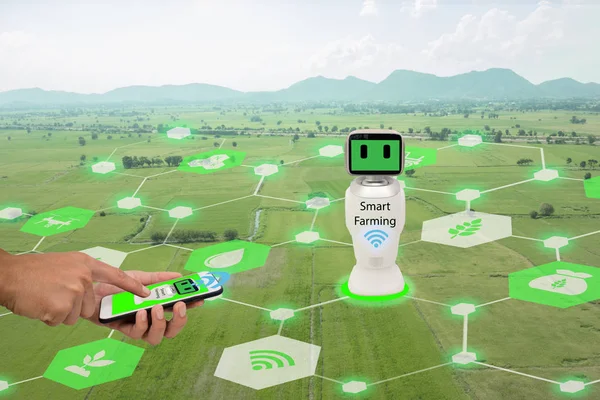 Iot, internet das coisas, conceito de agricultura.Farmer usar telefone celular conectar Smart Robotic (inteligência artificial, ai) uso para gerenciamento, controle, monitoramento e detectar com o sensor na fazenda — Fotografia de Stock