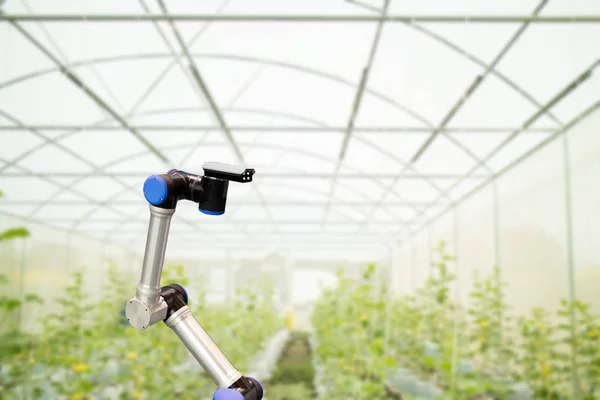 Robótica inteligente no conceito de agricultura, agricultores robôs (automação ) — Fotografia de Stock