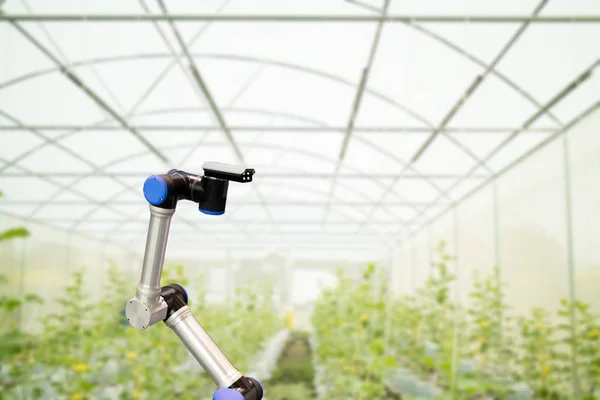 Smart Robotic in Agriculture Concept, Roboterfarmer (Automatisierung)) — Stockfoto