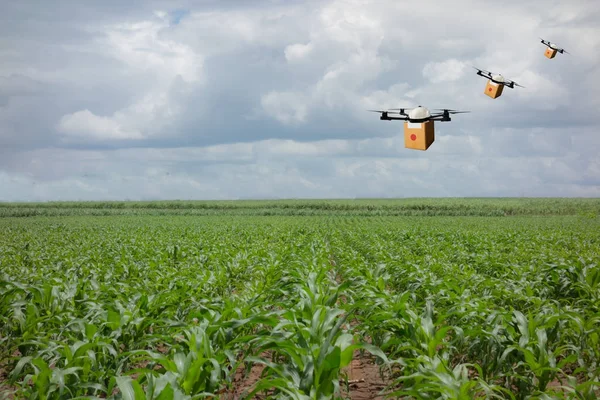 Drone voando transporte no conceito de agricultura, agricultor inteligente — Fotografia de Stock