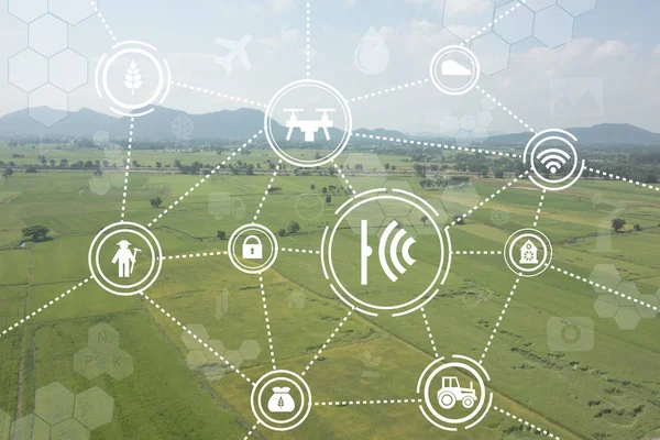 Internet van de dingen industriële landbouw, smart farming concepten — Stockfoto