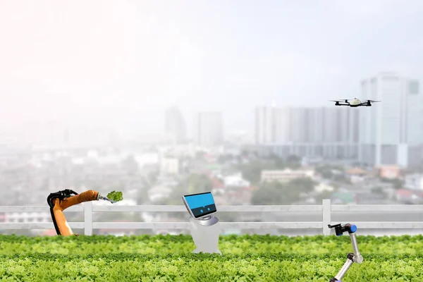 Smart farming concept, robot in agriculture field work in the ur — Stock Photo, Image