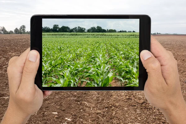 Agricultura inteligente com tecnologia realidade aumentada futurista c — Fotografia de Stock