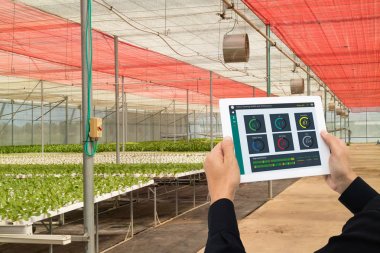 çok akıllı sanayi 4.0 tarım kavramı, endüstriyel ziraat mühendisi, Tablet durumunu izleme yazılım yapay zeka teknolojisi kullanarak çiftçi