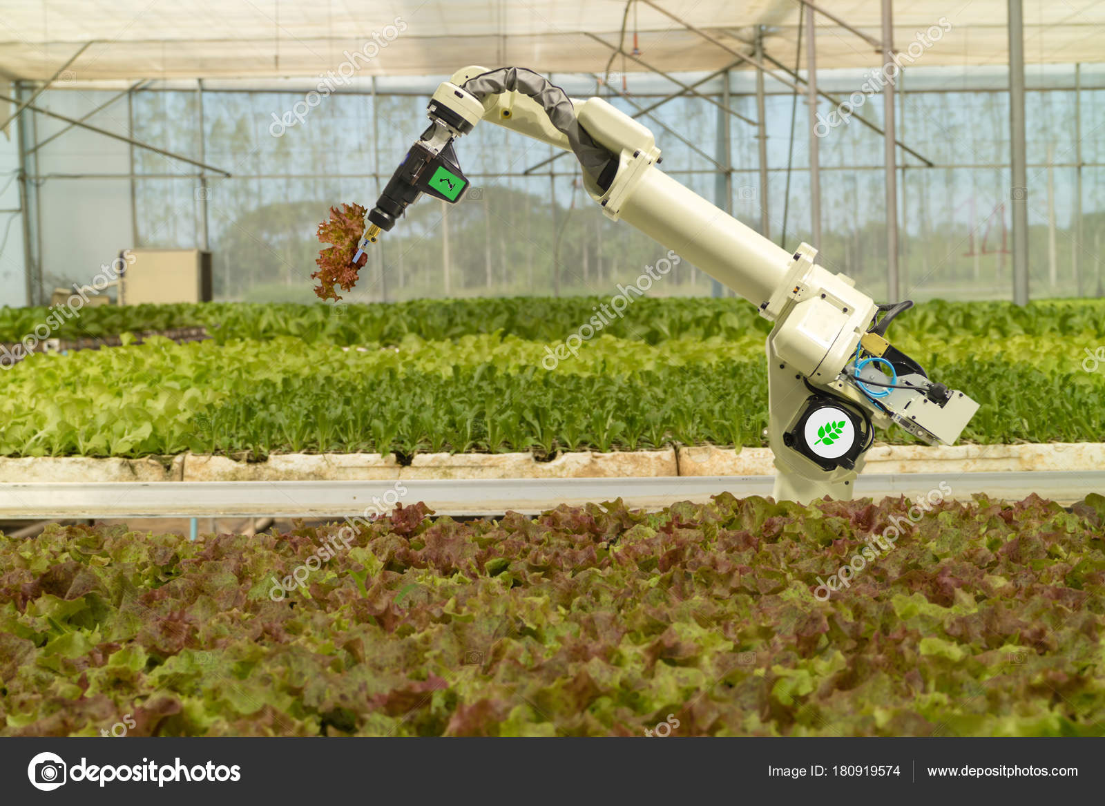 Smart Farming Agro Robotic Systems Soil Robots On Farms Autonomous