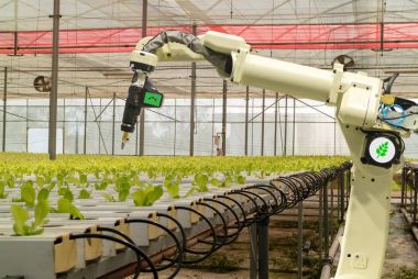 akıllı robot tarımda futuristik konsepti, çiftçiler (Otomasyon) sprey kimyasal, gübre veya artış verimlilik, iş için bir tohum, hasat, büyüyen programlanmış gerekir robot azaltmak zaman
