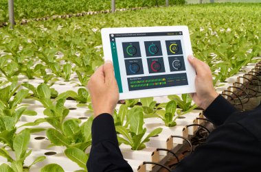 çok akıllı sanayi robot 4.0 tarım kavramı, endüstriyel ziraat mühendisi, tablet kullanarak izlemek için dikey veya kapalı çiftlik, Ph, Temp, IC, nem oranı, co2 de dahil olmak üzere veri durumda kontrol çiftçi 