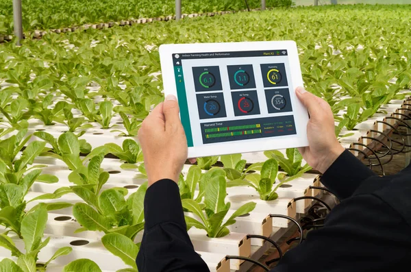 çok akıllı sanayi robot 4.0 tarım kavramı, endüstriyel ziraat mühendisi, tablet kullanarak izlemek için dikey veya kapalı çiftlik, Ph, Temp, IC, nem oranı, co2 de dahil olmak üzere veri durumda kontrol çiftçi 