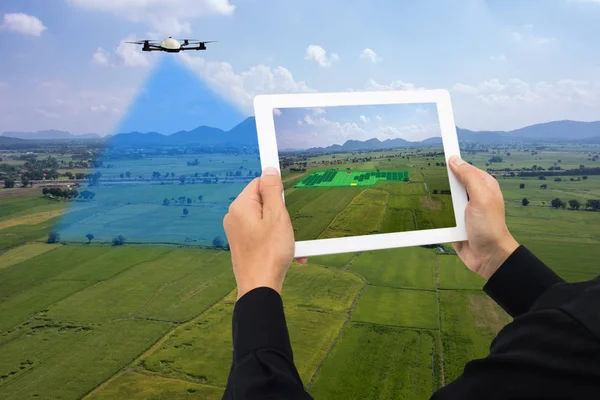 Drohne Für Die Landwirtschaft Drohneneinsatz Verschiedenen Bereichen Wie Forschungsanalyse Sicherheit — Stockfoto