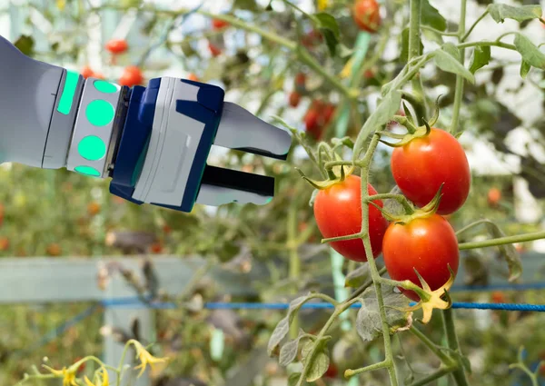 Tarım fütüristik konsept robot akıllı, robot çiftçiler (Otomasyon) programlanan dikey veya kapalı kümedeki artış verimlilik, hasat bir tohum büyüyen iş, süresini azaltmak için