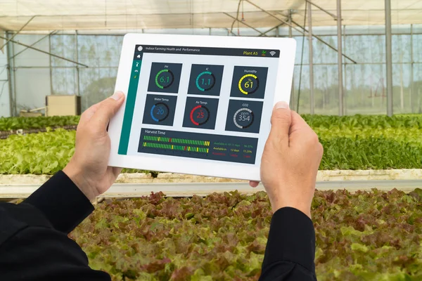 çok akıllı sanayi robot 4.0 tarım kavramı, endüstriyel ziraat mühendisi, tablet kullanarak izlemek için dikey veya kapalı çiftlik, Ph, Temp, IC, nem oranı, co2 de dahil olmak üzere veri durumda kontrol çiftçi 