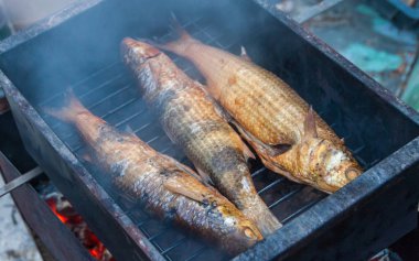 pişirme kefal ızgara.